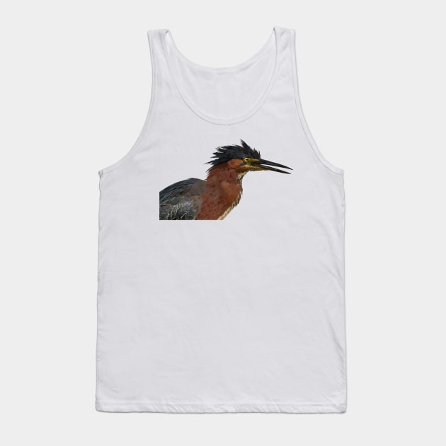 Green Heron Tank Top by obscurite